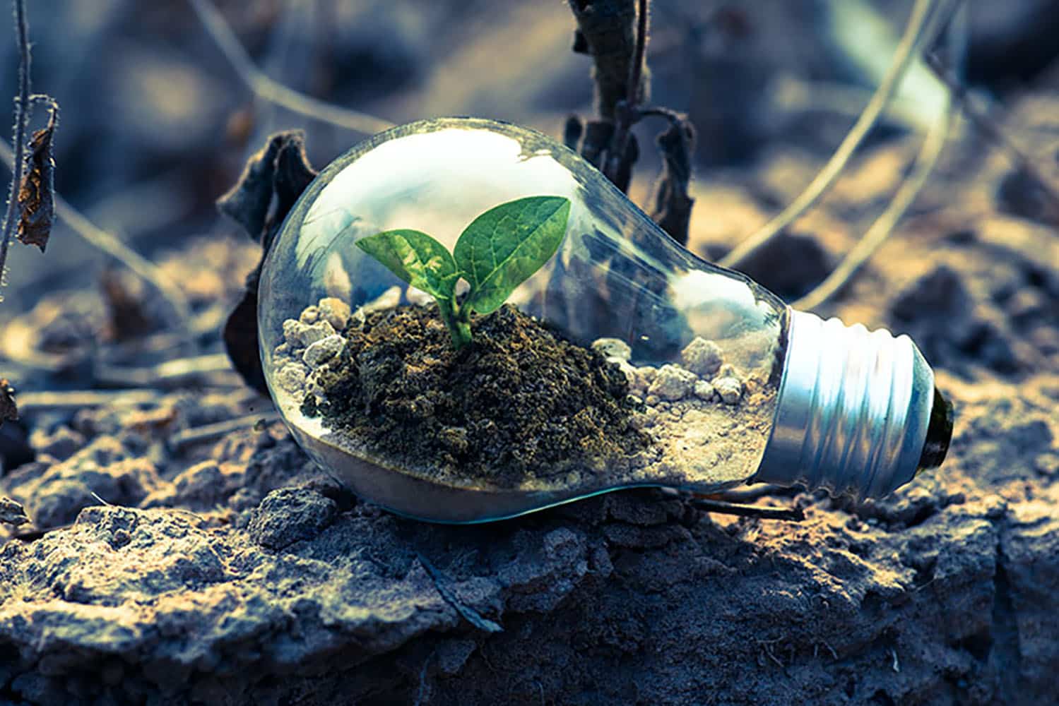 Anuncio oficial de la Junta de Andalucía sobre subvenciones para acción climática en municipios.